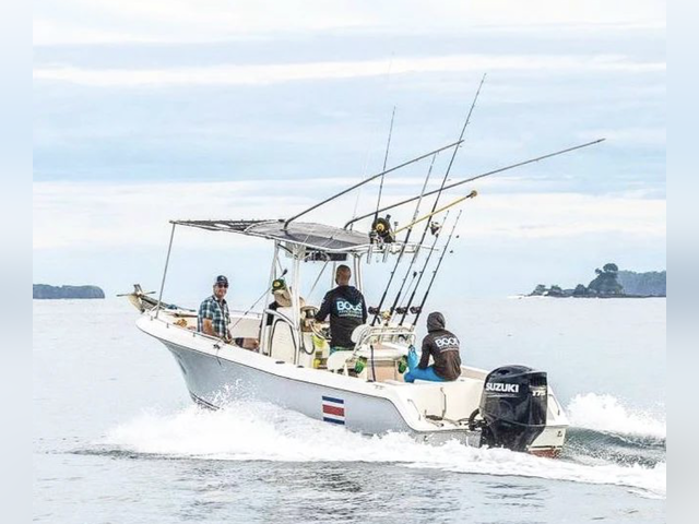 Listing image 737693