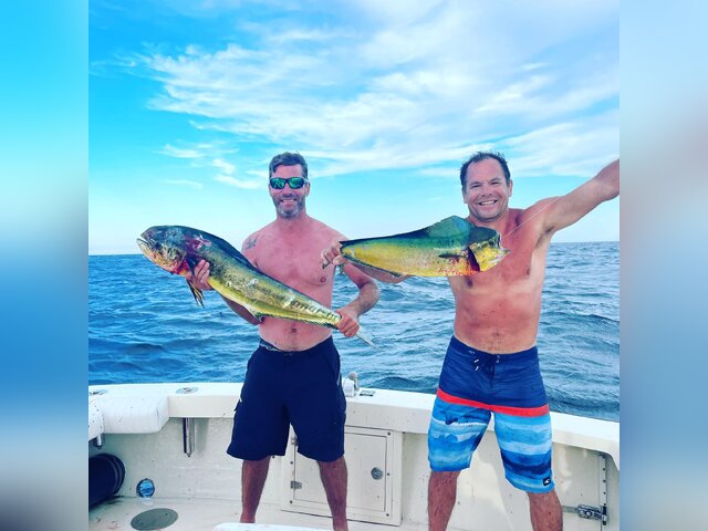 Listing image 1325604