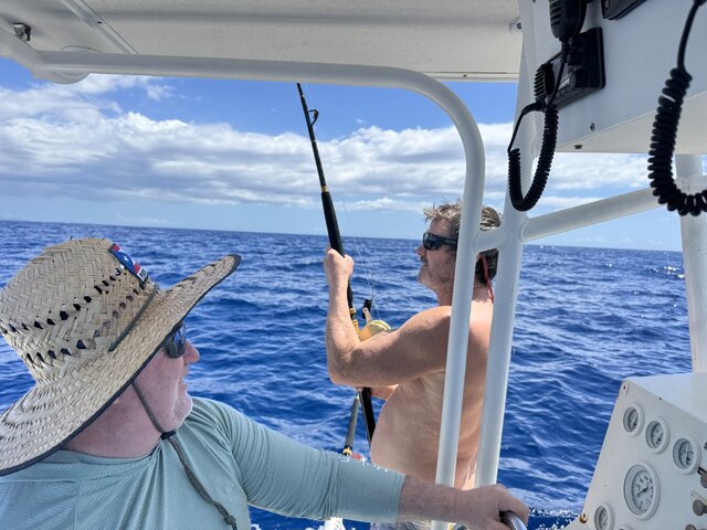 Listing image 1329067