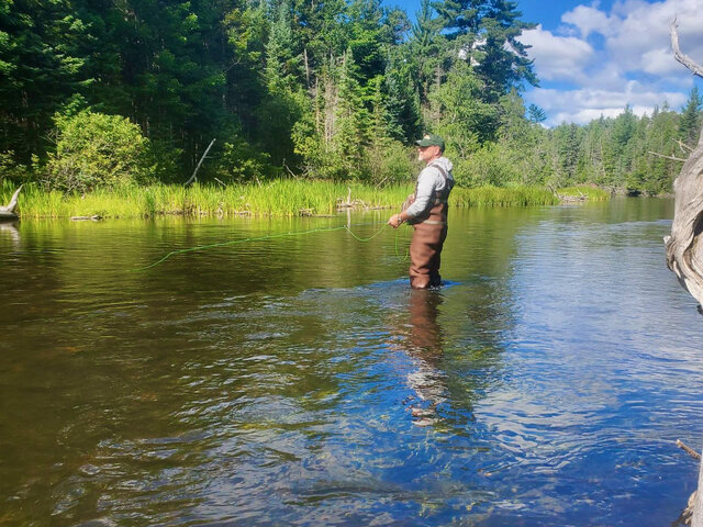 Listing image 1377672