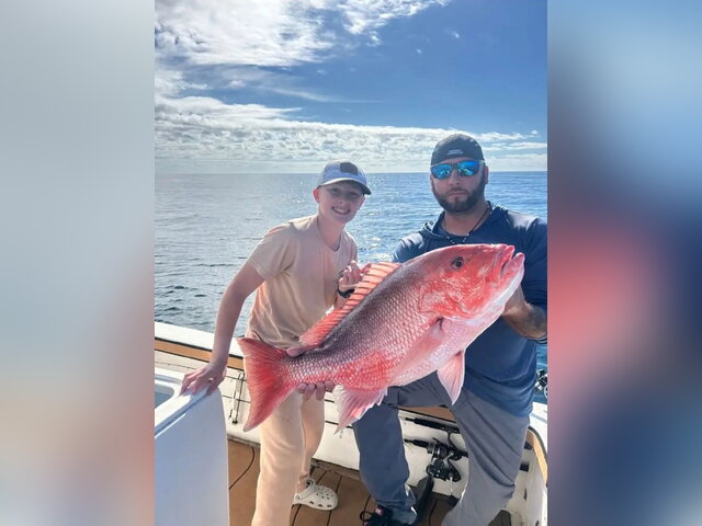 Listing image 1330122