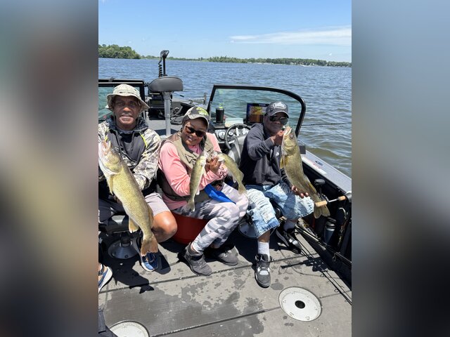 Listing image 1335482