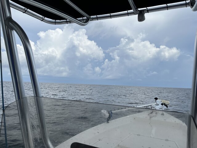 Listing image 1361496