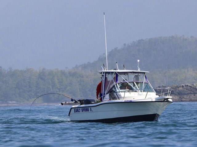 Listing image 1346836