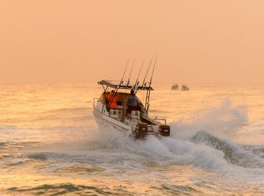 Shelly On Sea Charters