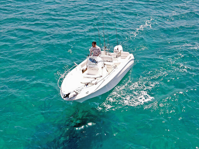 Listing image 1385049