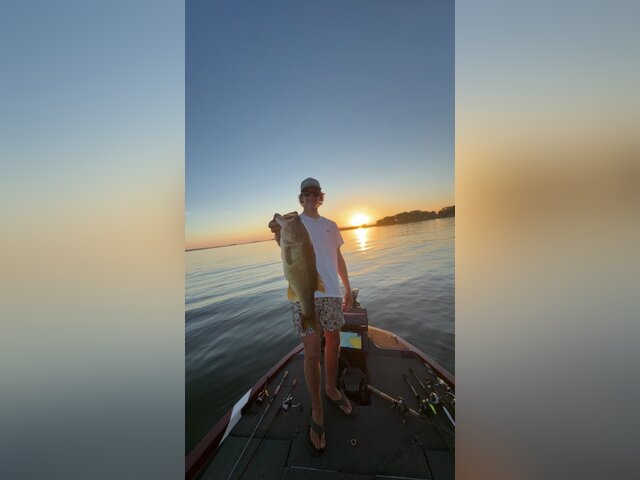 Listing image 1358353