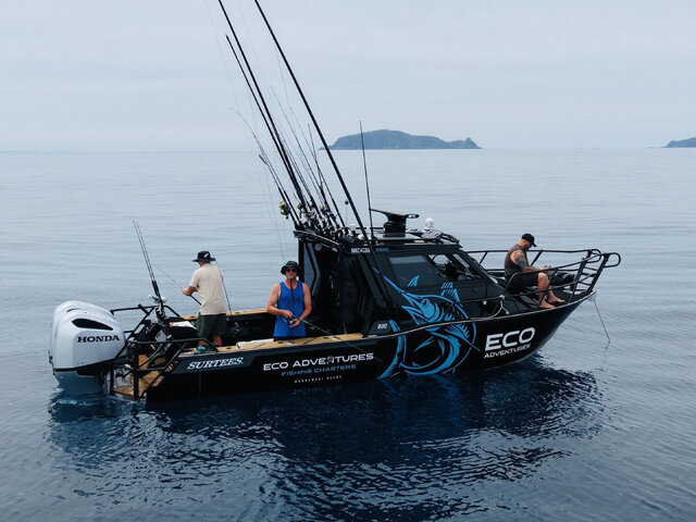 Listing image 1376152