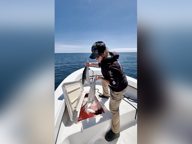 Listing image 1363672