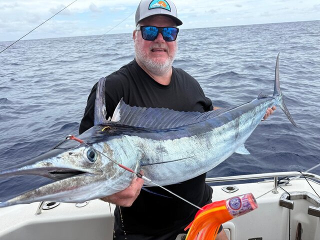 Listing image 1386960
