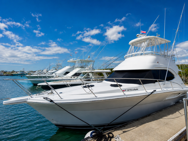 Listing image 1371482
