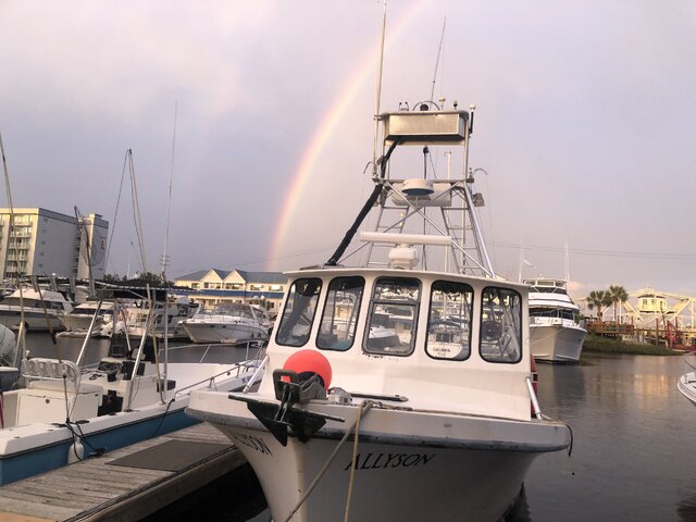 Listing image 1366362