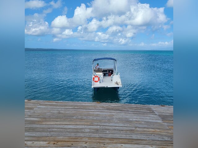 Listing image 1366519