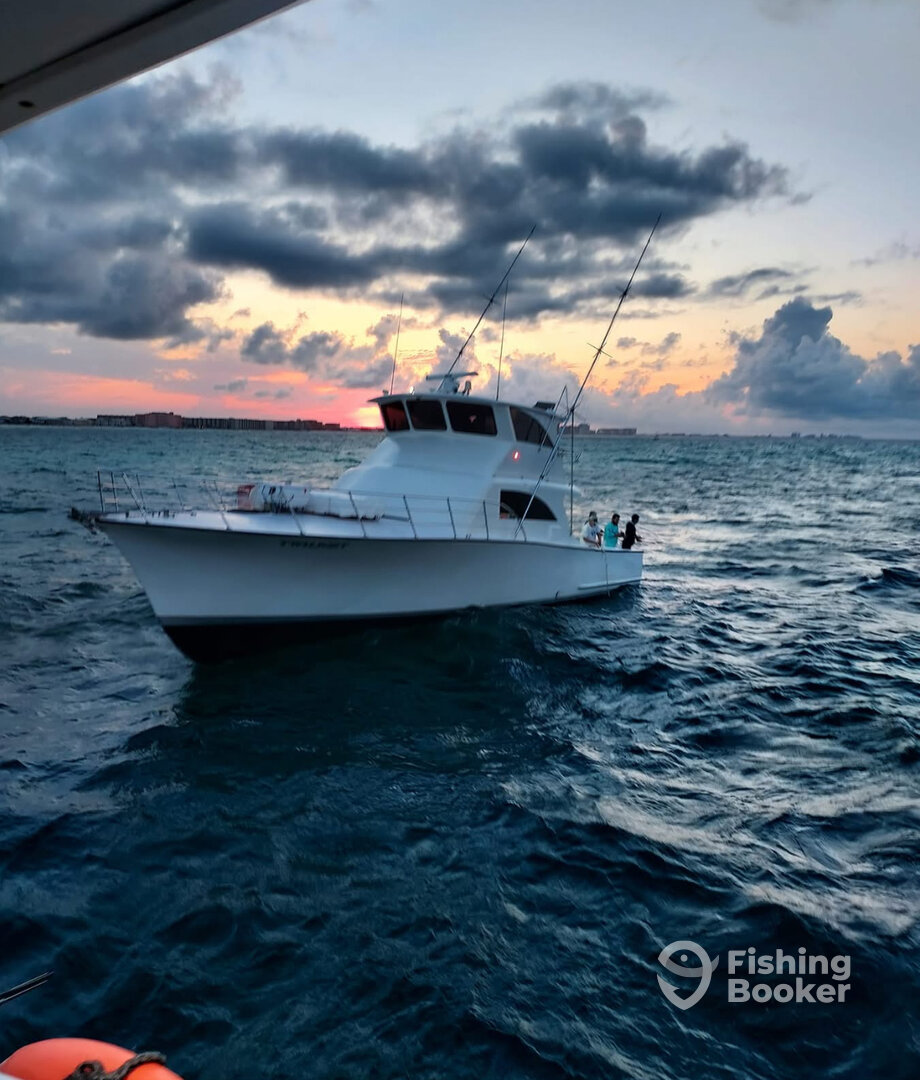 Boat image