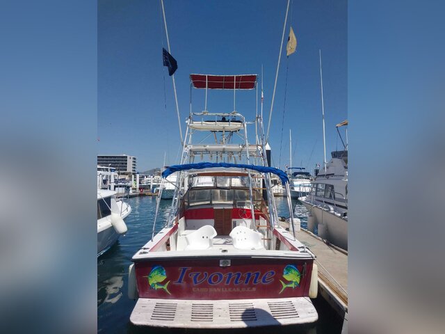 Listing image 1368982