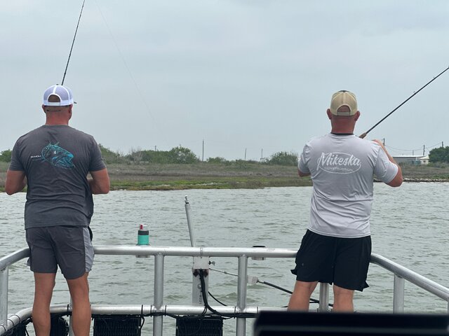 Listing image 1370033
