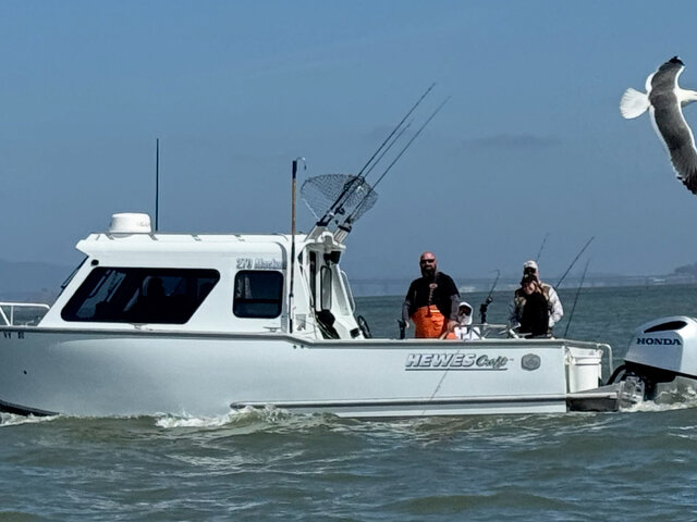 Listing image 1371207