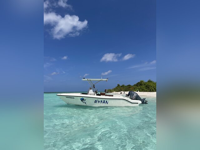 Listing image 1371347