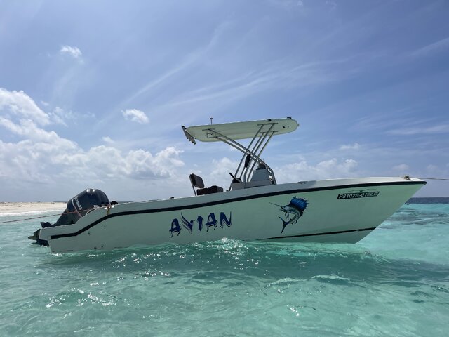 Listing image 1371346