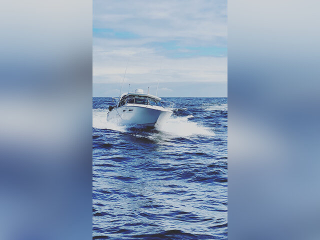 Listing image 1372544