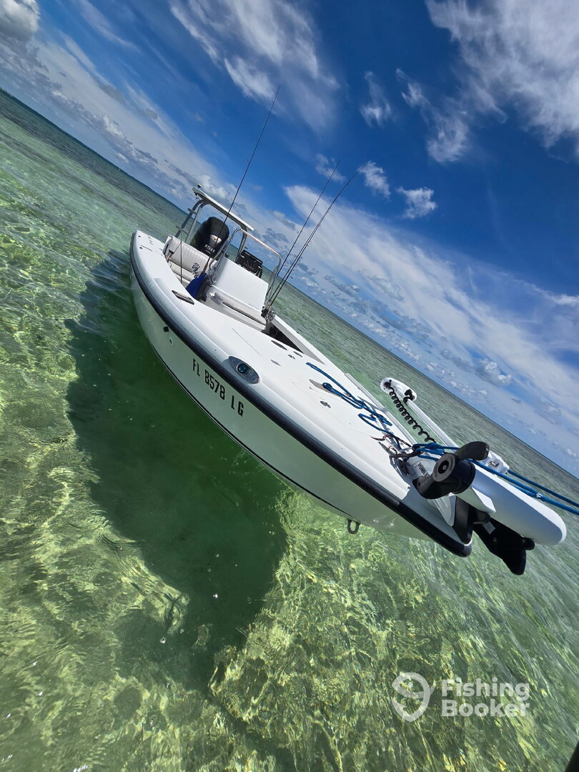 Boat image