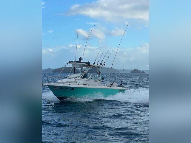 Listing image 1374712