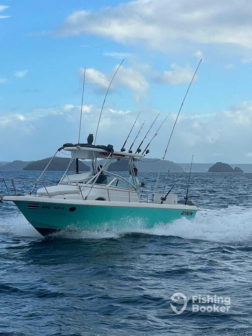 Boat image
