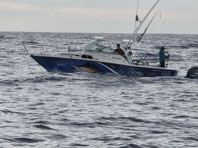 Listing image 1375509