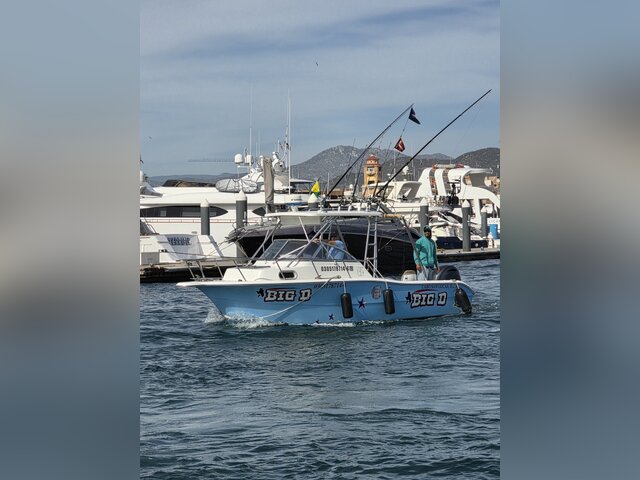 Listing image 1376670