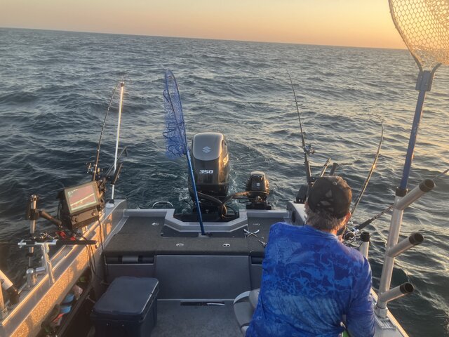 Listing image 1378113