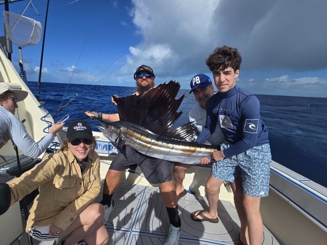 Listing image 1377561