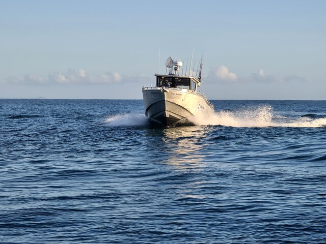 Listing image 1378267