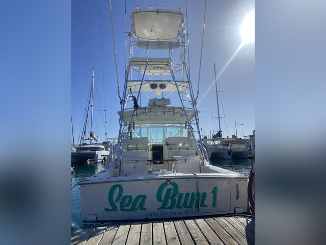 Listing image 1378862