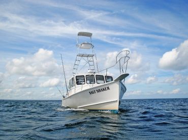 Charter Image