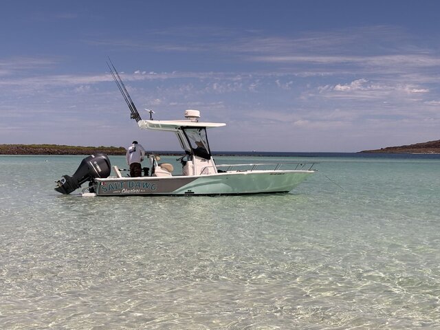 Listing image 1380269