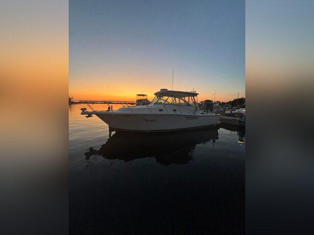 Listing image 1380153