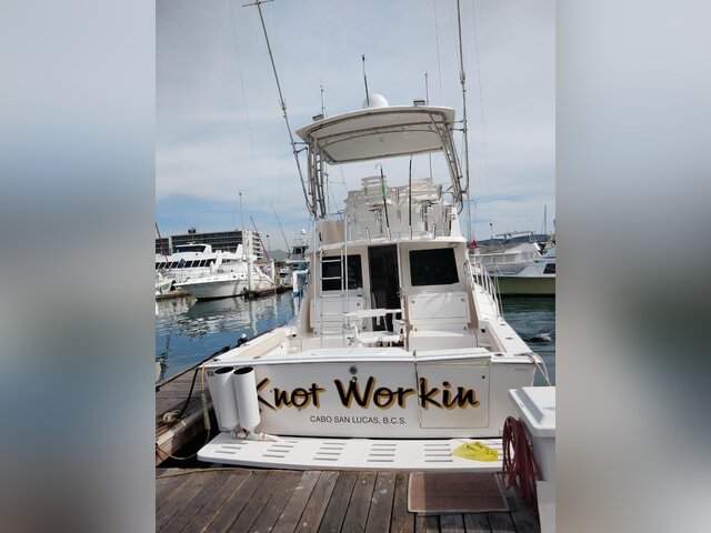 Listing image 1380924