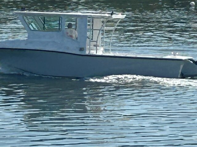 Listing image 1382022