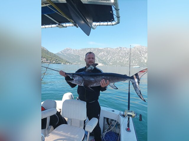 Listing image 1382410