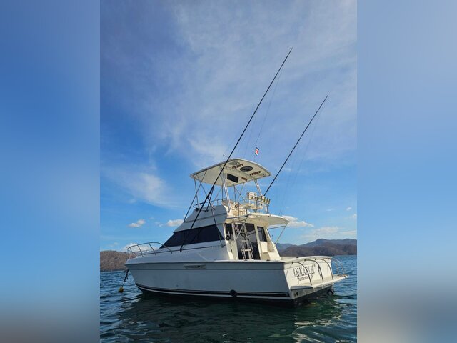 Listing image 1383822