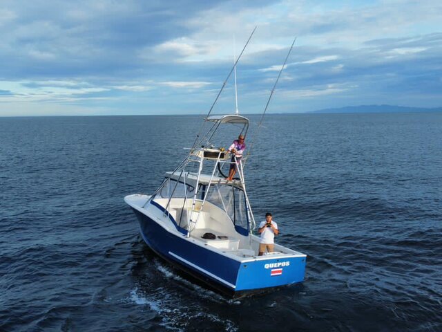 Listing image 1384984