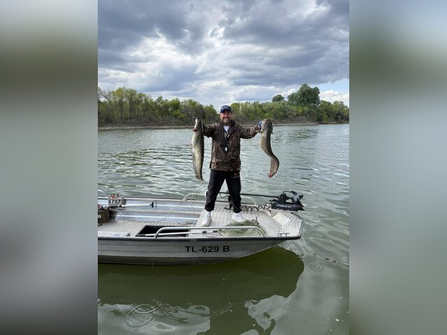 Listing image 1386142