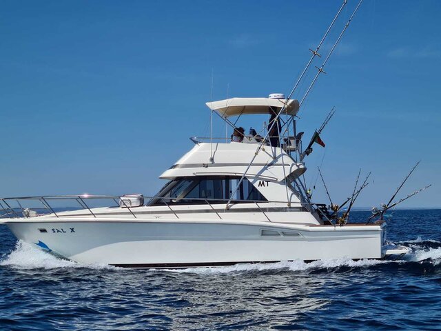Listing image 1386264
