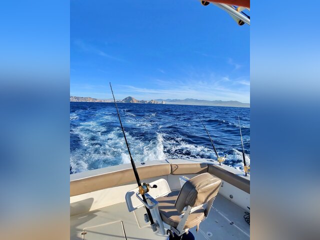 Listing image 1386299