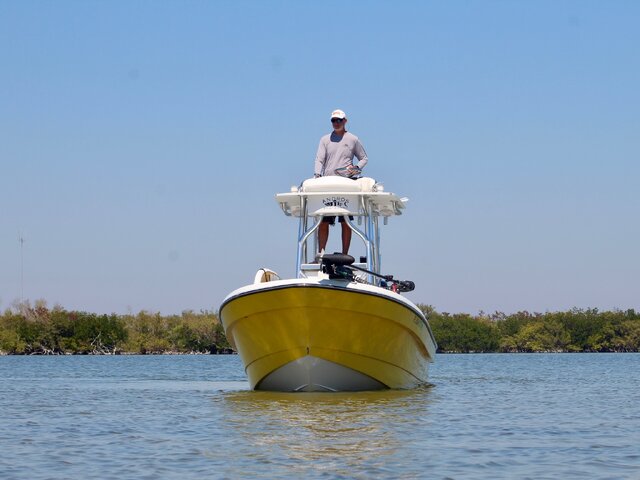 Listing image 1386332