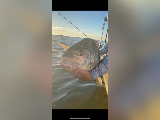 Listing image 1386703
