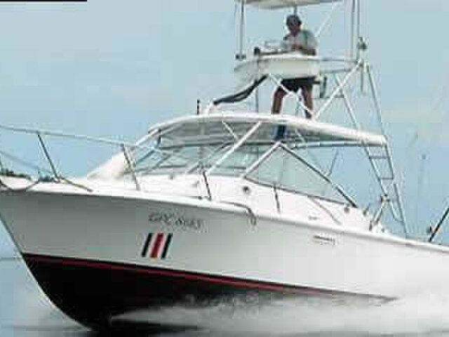Listing image 1387414