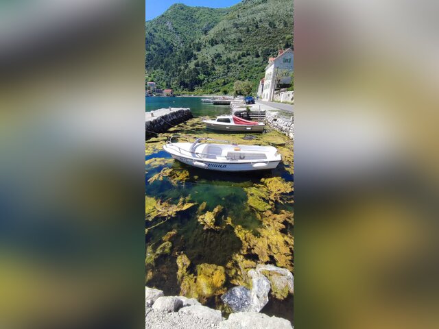 Listing image 1388685