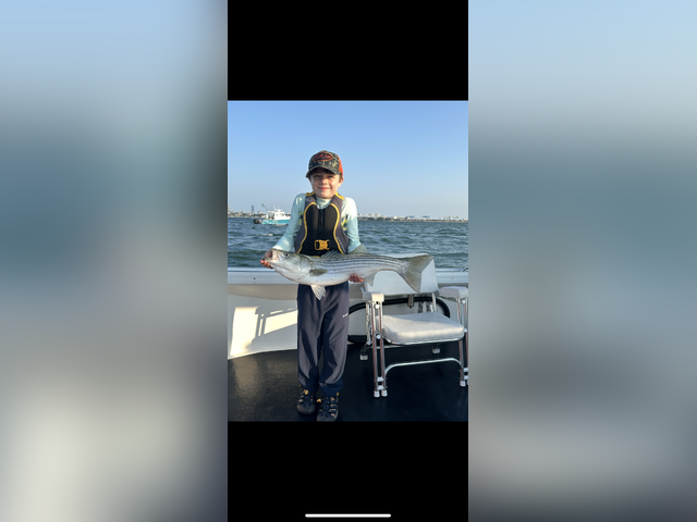 Listing image 1391085