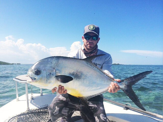 Listing image 258331